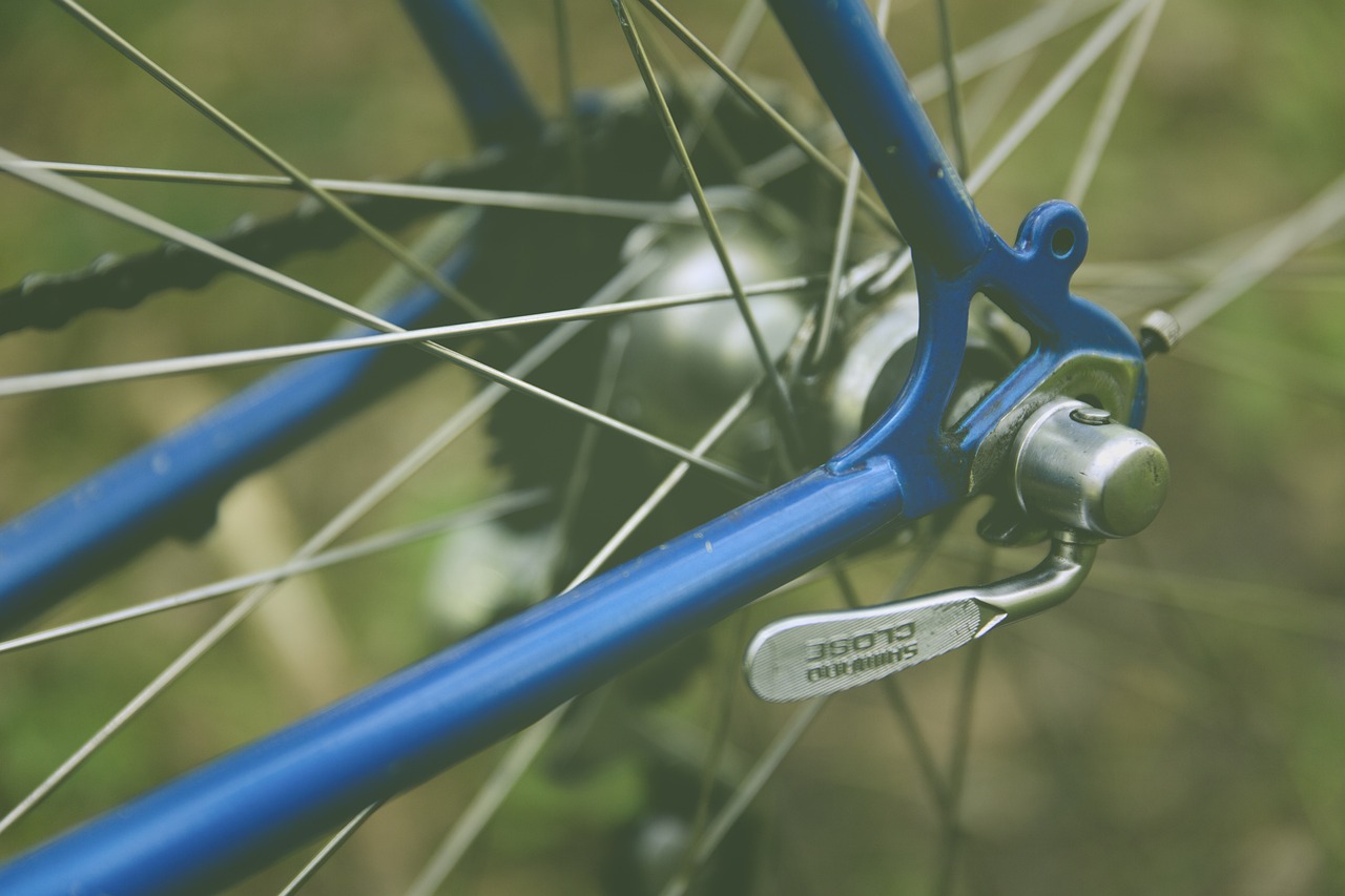 Roues arrière de fixie avec cadre bleu