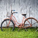 Vélo vintage dans l'herbe et contre palissade